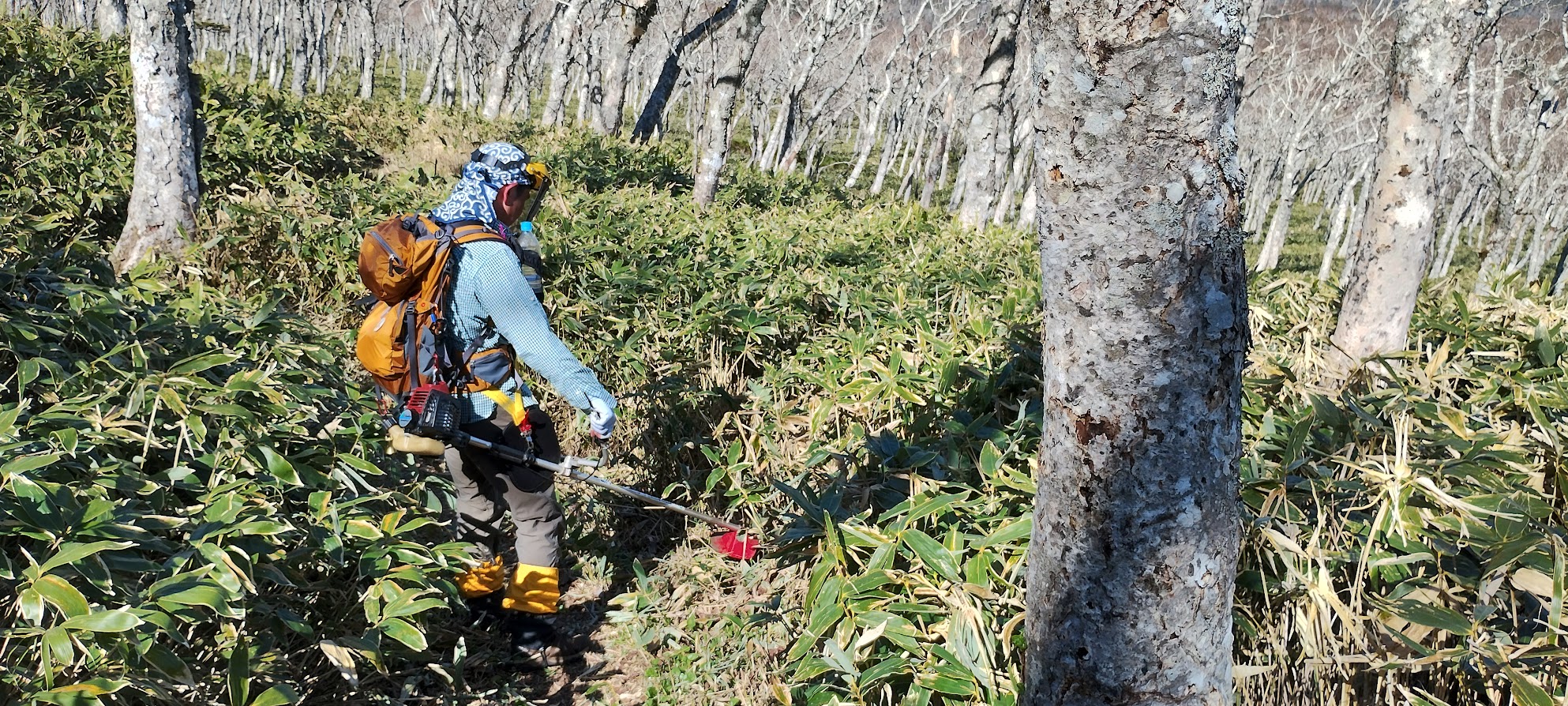 登山道整備取材